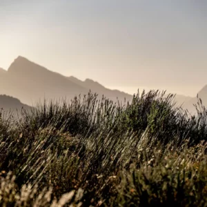 Whispering Ridges