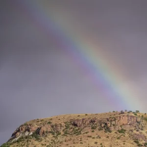 Desert Prism